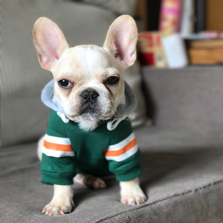 Warm Pet Sweater for Everyday Comfort