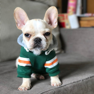 Warm Pet Sweater for Everyday Comfort