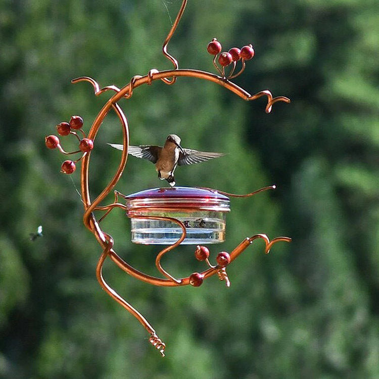 Transform Your Garden with the Hanging Window Hummingbird Water Feeder