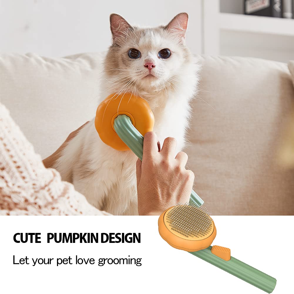Why Your Pet Deserves the Best Grooming Experience