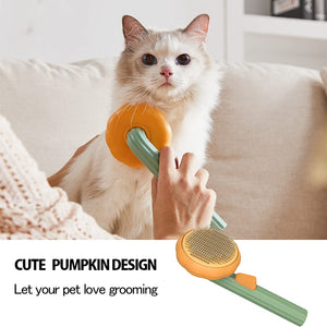 Why Your Pet Deserves the Best Grooming Experience
