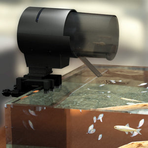 Transform Your Aquarium Care with Our Intelligent Fish Feeder