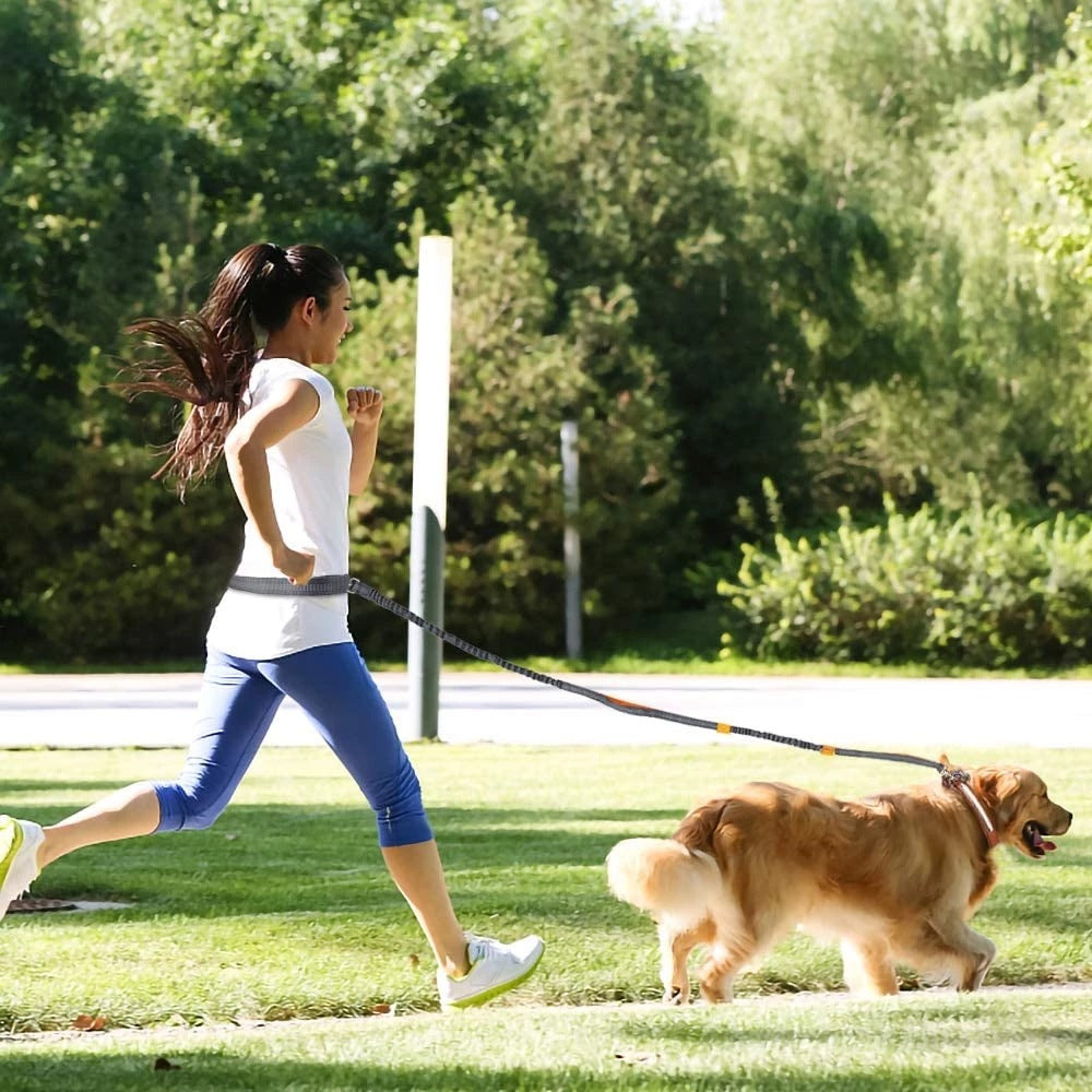 Elevate Your Pet's Adventure with Our Adjustable Jogging Pet Harness Leash