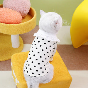 Elevate Your Pet's Style with the Blue Pet T-Shirt for Everyday Wear