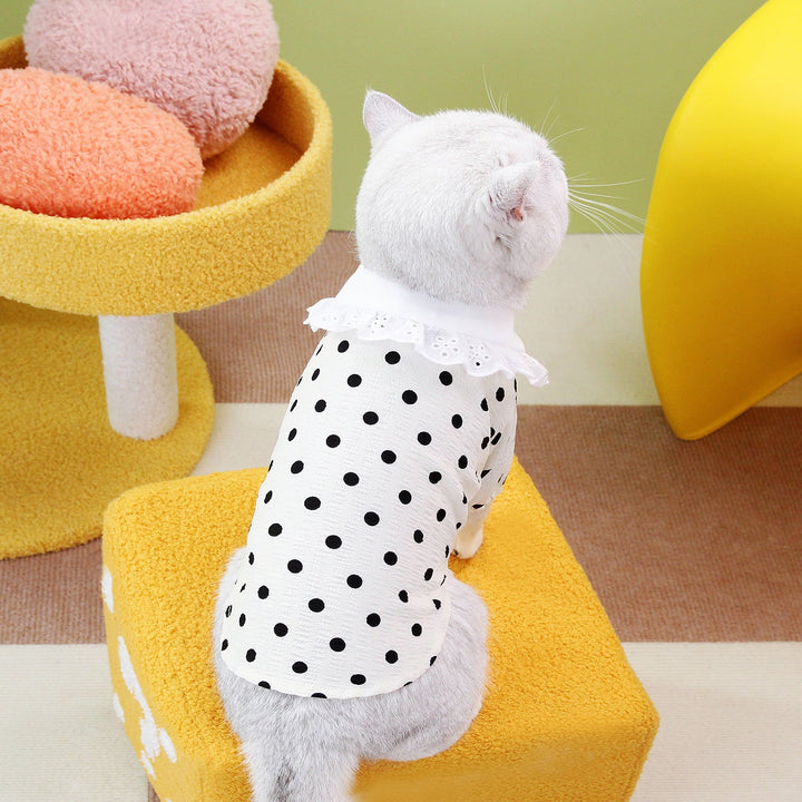 Elevate Your Pet's Style with the Blue Pet T-Shirt for Everyday Wear